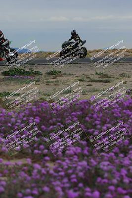 media/Jan-14-2023-SoCal Trackdays (Sat) [[497694156f]]/Turn 14 Exit Bloomig (145pm)/